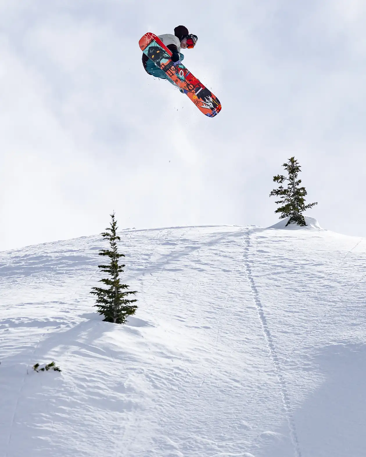 Placă snowboard Jones Rally Cat - imagine 12